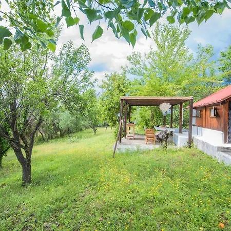 #pinetree Cabin By Halu! Σπίτι διακοπών Καλάνδρα