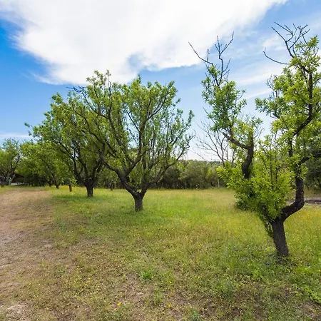 Holiday home #pinetree Cabin By Halu! *